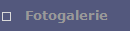 Fotogalerie